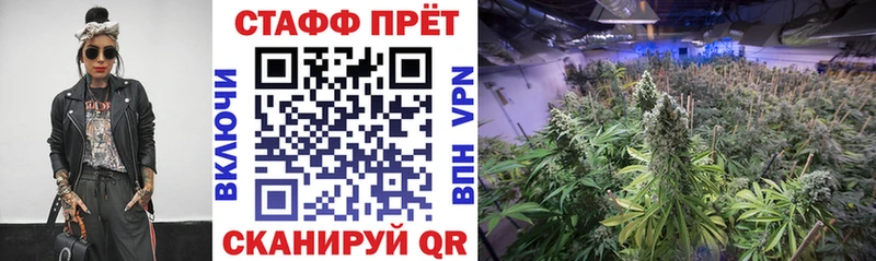 Купить Каргат Галлюциногенные грибы  A-PVP  НБОМе  Амфетамин 