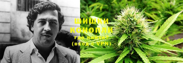 бошки Алзамай