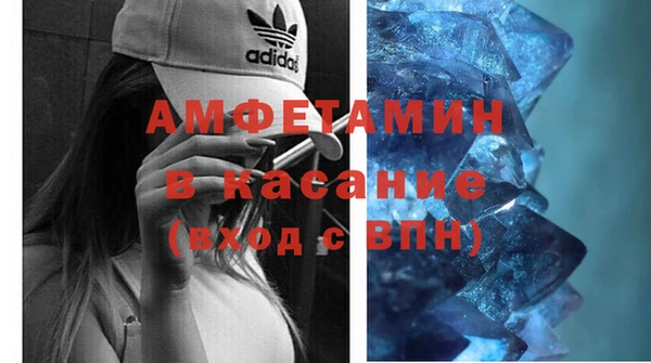 прущие грибы Сатка