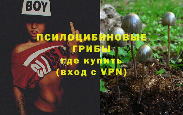 бошки Алзамай