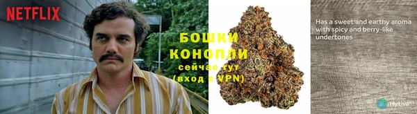 бошки Алзамай