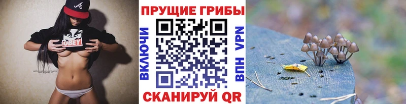 Галлюциногенные грибы GOLDEN TEACHER  Каргат 